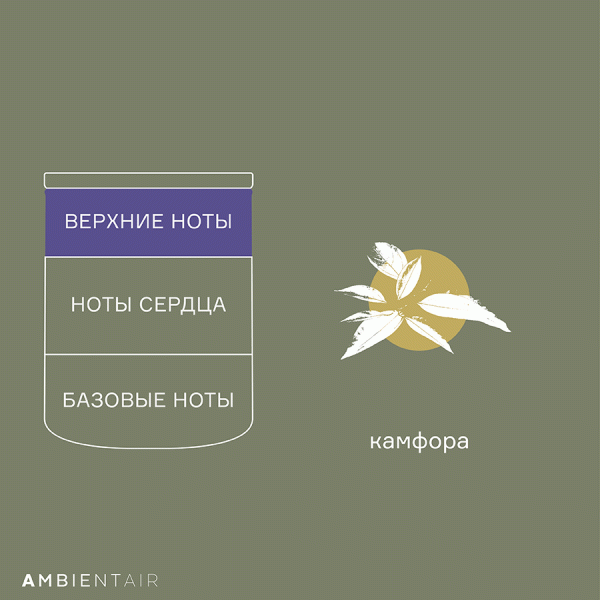 Свеча ароматическая enchanted forest eль 40 ч