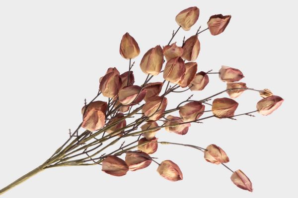 Ветка декоративная 46 см, пенопласт/бумага, Бутоны, Light autumn ANNA LAFARG
