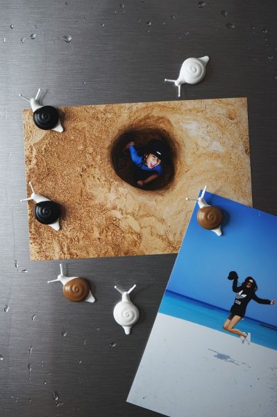 Магниты Snail 6 шт