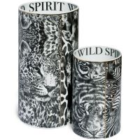 Ваза WILD SPIRIT 20 см, LUXURY TAITU