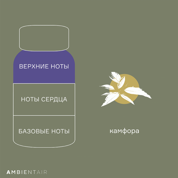 Диффузор ароматический enchanted forest eль 100 мл