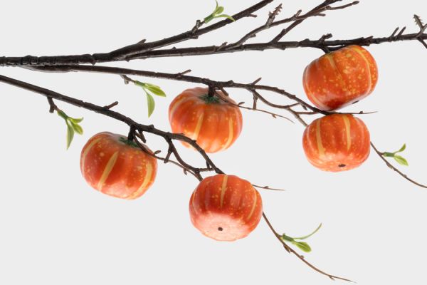 Ветка декоративная 94 см, полиэстер/пластик, Тыквы, Bright pumpkin ANNA LAFARG
