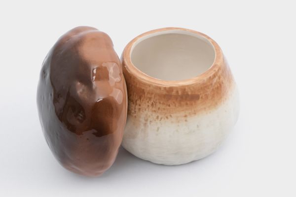 Емкость для хранения 14x16 см, 780 мл, керамика, молочно-коричневая, Гриб, Autumn forest ANNA LAFARG
