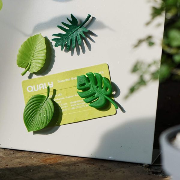 Набор магнитов tropical, 4 шт Qualy