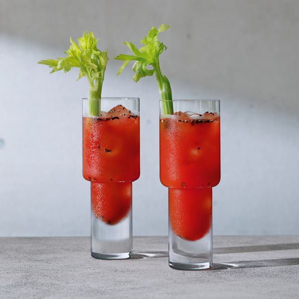 Набор из 2 хайболов Vodka 400 мл LSA International