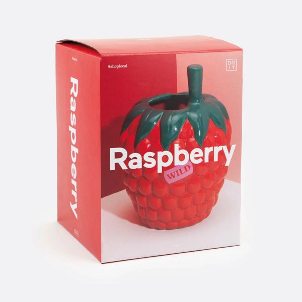 Ваза для цветов raspberry, 20 см Doiy